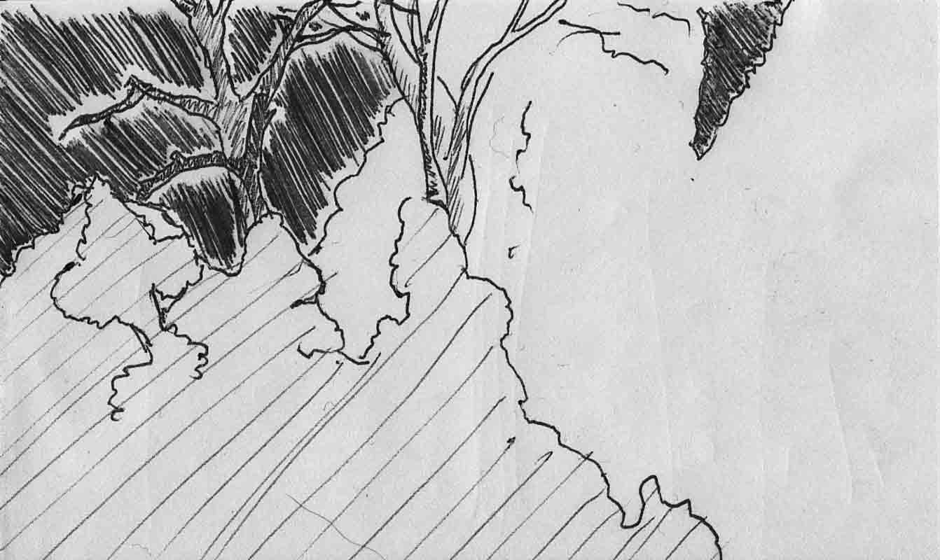 bushes sketch